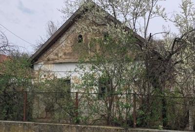 Casă individuală cu 3 camere cu Teren 2700 Mp în Dobra - 4