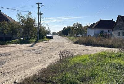 Teren de 22000 mp, în Livada - 18