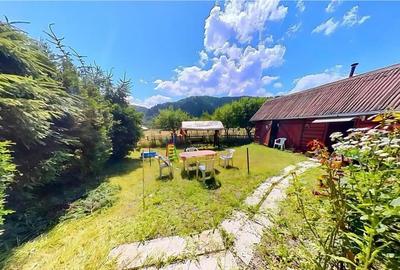 FILM Tur LIVE! Casa de vacanta, intr- o ariere admirabila,Lu - 1