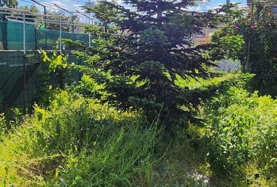 Giulesti-Sarbi,zona str.Caramidariei,doar 400m capat tramvai 44! - 4