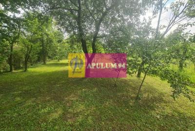 Casă de vânzare în Bănești - 15