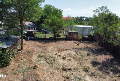 Spațiu comercial, în Brănești - 1