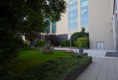 1.200 mp PARTER - Spațiu de birouri – Floreasca Park 1.200 mp PARTER - Spațiu de birouri – Floreasca Park - 5
