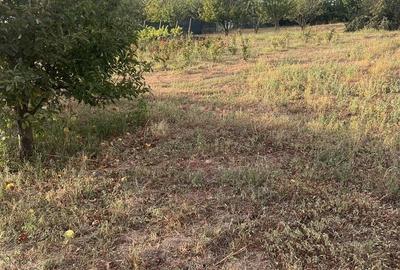 Teren de 10000 mp, în Sârbi - 2