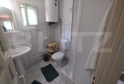 Exclusivitate!! Casa 4 camere, 140 mp, 2 nivele, teren+padure 2500 mp, Coldau - 9