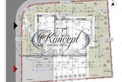 Teren in curs de autorizare in Faget - 3