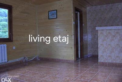 Casa P +1 Piatra Neam? - 3