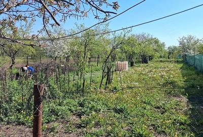 Casă cu Teren 1800 Mp în Filipeștii de Târg - 4