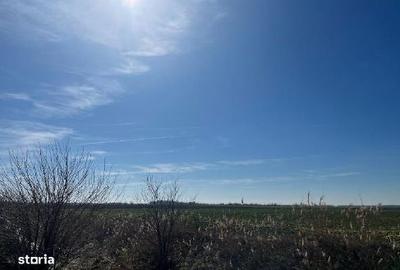 Spațiu comercial, în Central