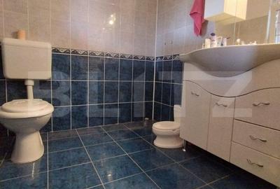 Casa 5 camere, curte frumos amenajata, 524mp teren, San Mihaiu German - 5