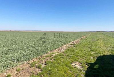 Teren 20.141 mp de vanzare in zona Aeroportului Oradea Teren 20.141 mp de vanzare in zona Aeroportului Oradea - 1