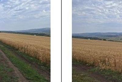 Teren Extravilan Pribesti, ID: R2774827 - 8