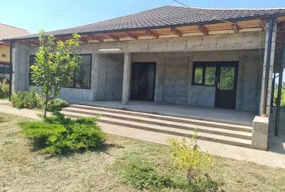 Casă cu Teren 1233 Mp în Odaia Manolache - 5