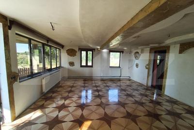 Casă cu 3 camere cu Teren 5000 Mp în Central
