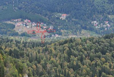VANZARE TEREN INTRAVILAN SINAIA-CUMPATU Strada Zamora-9.801 mp-Comision 0% - 10