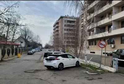 Studio Iancu Nicolae, Ambasada Americii, Gradina Zoologica | Elegant - 16