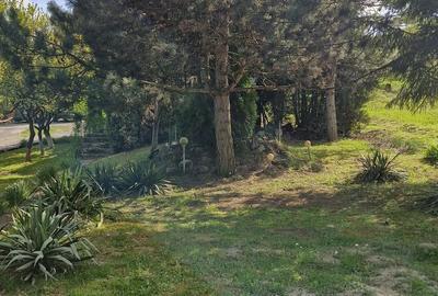 Teren de 700 mp, în Corunca - 7