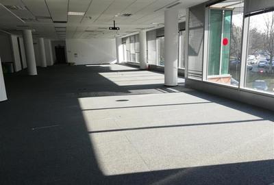 Inchiriere Birouri - Bucharest Business Park de la 233 mp - 11