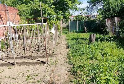 Apartament 2 camere Balcescu de vanzare - 3