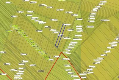 Teren extravilan- Com. Siria, jud. Arad - 3