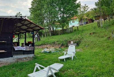 Casa cu teren si padure la tara - 11