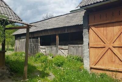 Casă cu 4 camere în Berbești - 4