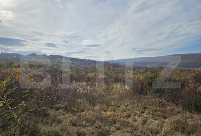 Teren de 600 mp, în Europa - 4