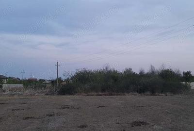 Teren intravilan de inchiriat comuna 1 Decembrie, jud Ilfov - 2