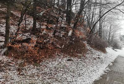 Teren intravilan situat in Busteni - 6