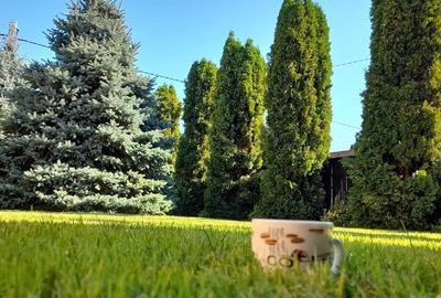 Vanzare vila Pacani [proprietar, 0 Comision] - 6