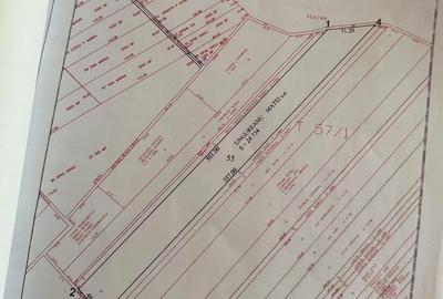 Teren de 1700 mp, în Exterior Vest - 1