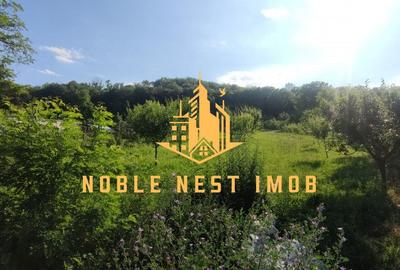 Casă cu 5 camere cu Teren 2500 Mp în Central - 14