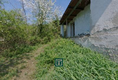 Casă cu 2 camere cu Teren 874 Mp în Covăsinț - 5