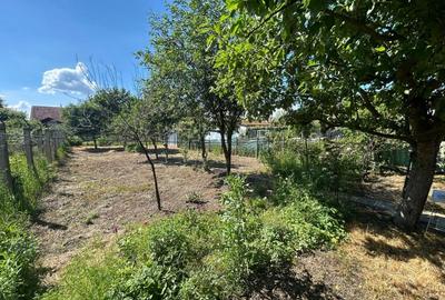 Casa individuala 3 camere- Turnisor, Sibiu - 4