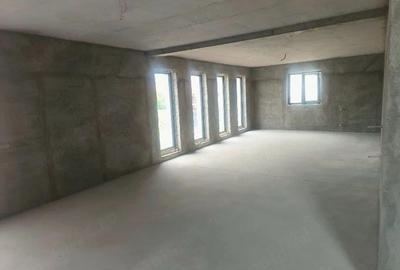 Casă cu 3 camere cu Teren 1620 Mp în Zigoneni - 5