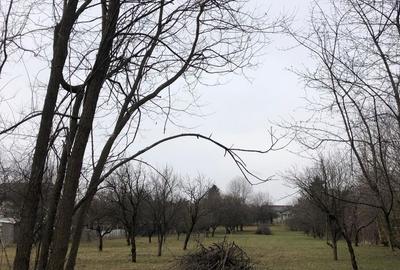 Teren intravilan Breaza oportunitate investitie Teren intravilan Breaza oportunitate investitie - 1