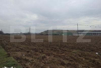 Teren de 13000 mp, în Central
