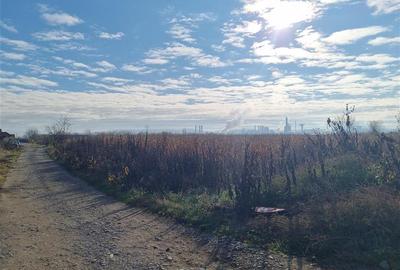 Teren intravilan de 3900 mp, în Nazna - 2