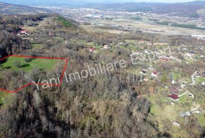 Teren 13.643 mp intravilan de vanzare in Curtea de Arge?. - 9