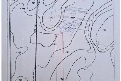 Branesti teren intravilan 30700 mp Branesti teren intravilan 30700 mp - 13