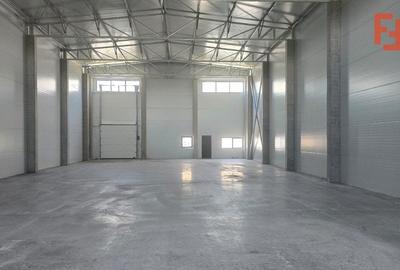 Spațiu industrial, de 502 mp, în Șagului - 2