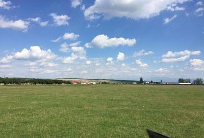 Teren de 9981 mp, în Șura Mică - 6