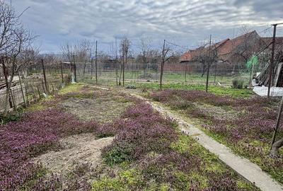 Casă cu 5 camere cu Teren 361 Mp în Central - 11