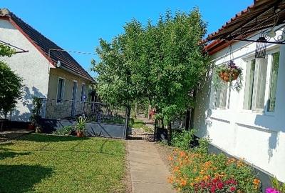 Casă individuală cu 4 camere cu Teren 1000 Mp în Giarmata-Vii - 1