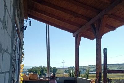 Vila in Rusii Manastioara - 2