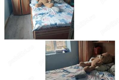 Casă cu 1 camere cu Teren 1800 Mp în Piatra - 2