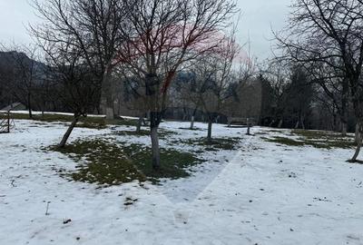 Teren Zarnesti /Bran/Predelut6 Strada Pe tarina - 6