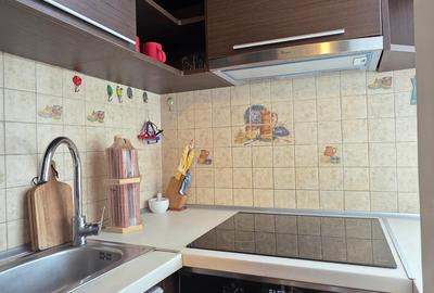 Apartament cu 2 camere decomandat, mobilat în Gruia - 15
