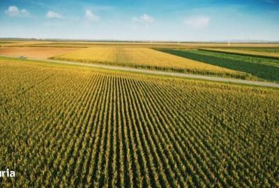 Spațiu comercial, în Vinerea - 1