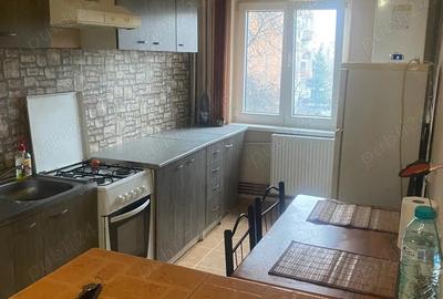 Apt. 3 cam. pe Calea Torontalului artera - 5